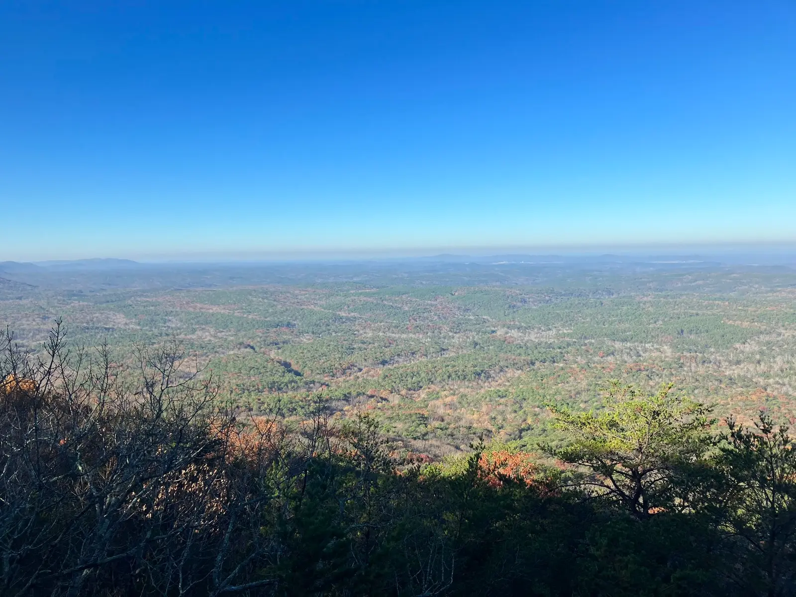 forest view — Cheaha State Park