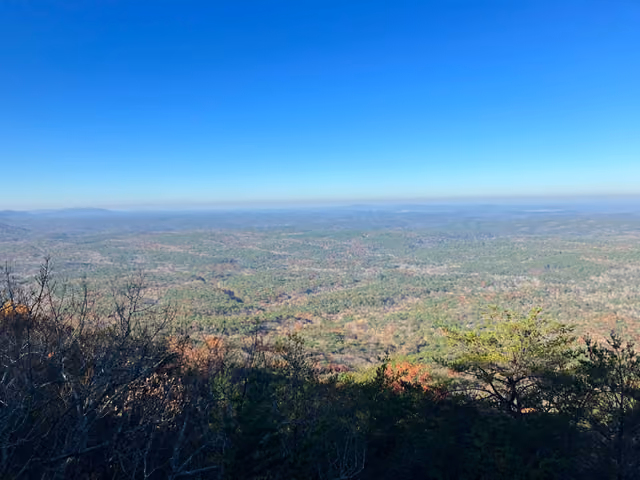 forest view — Cheaha State Park