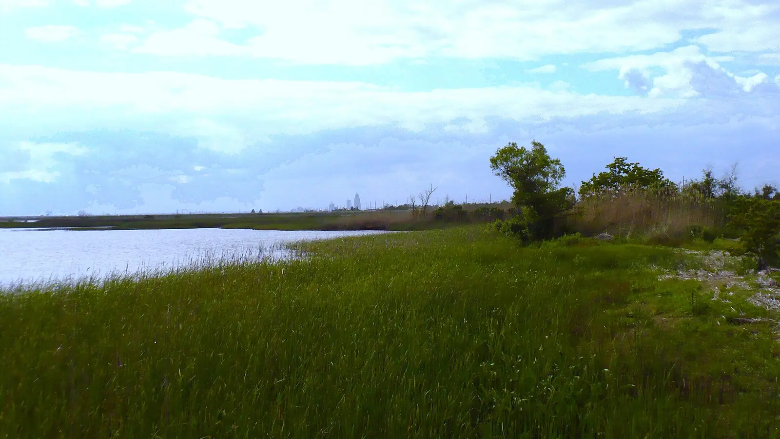 Meaher State Park in Spanish Fort, Alabama, USA