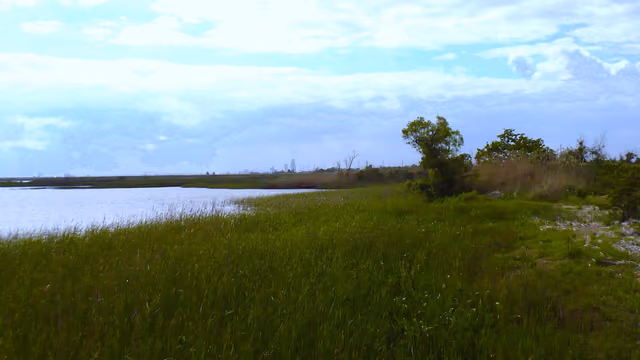 Meaher State Park in Spanish Fort, Alabama, USA