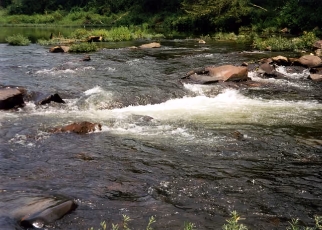 The Cossatot River at Cossatot Reefs Park near Gillham Lake in Howard County, Arkansas, USA