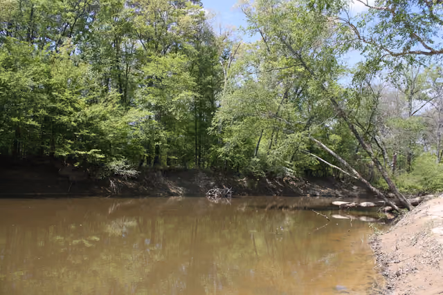 Saline River at Jenkins' Ferry Battleground State Park (looking upstream from boat ramp)