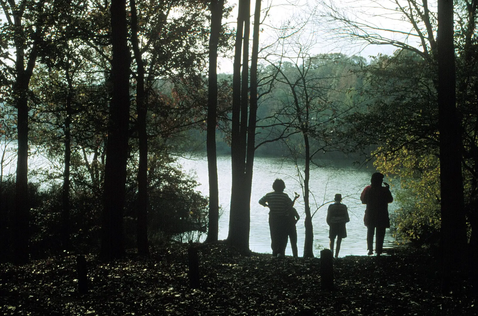 Crowley's Ridge Parkway - Lake Poinsett State Park - NARA -