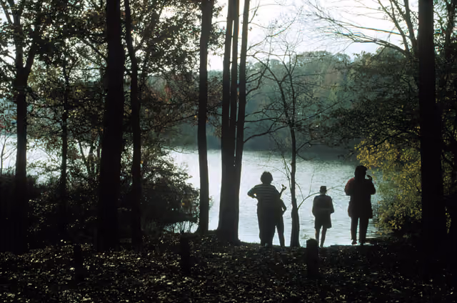 Crowley's Ridge Parkway - Lake Poinsett State Park - NARA -