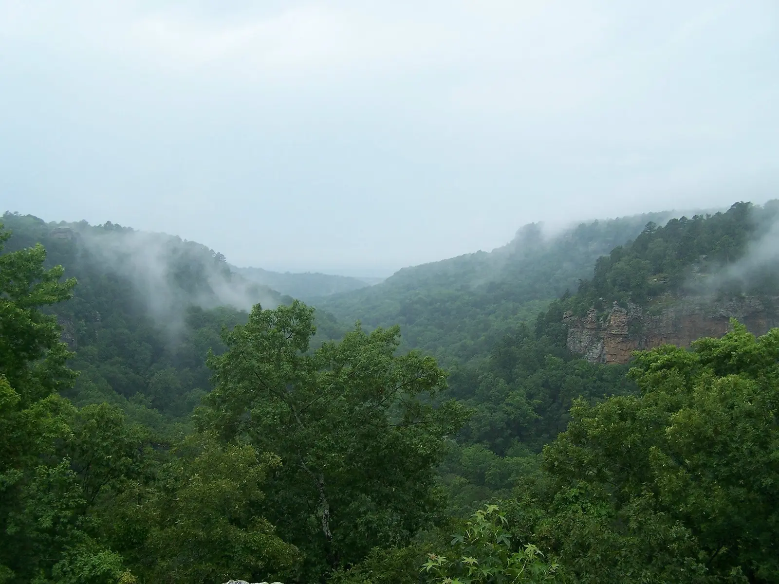 View from atop Petit Jean Mountain in Arkansas