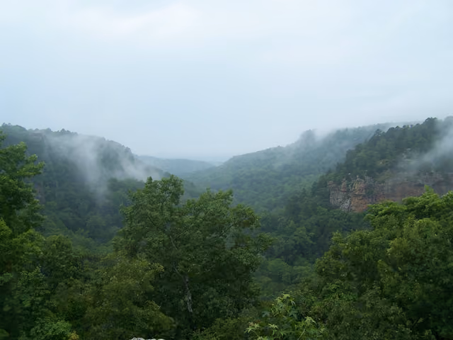 View from atop Petit Jean Mountain in Arkansas