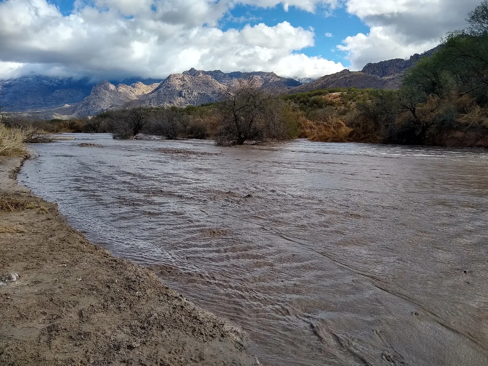 This picture was taken in Catalina State Park just past the confluence of the Sutherland Wash