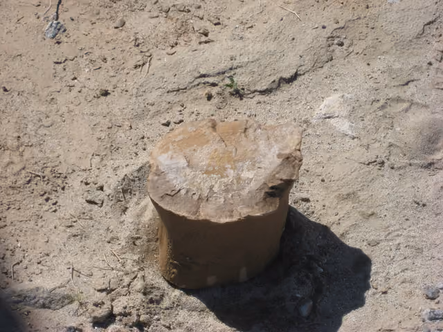 Crystal from Anza Borrego — Anza-Borrego Desert State Park ®