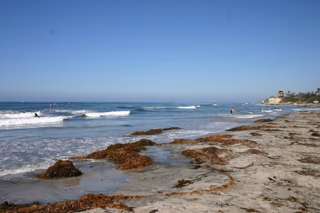 View along Cardiff State Beach , Encinitas, California, looking north