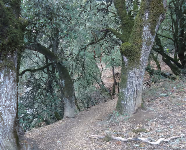 Castle Rock State Park is a state park of California, USA, located along the crest of the Santa Cruz Mountains