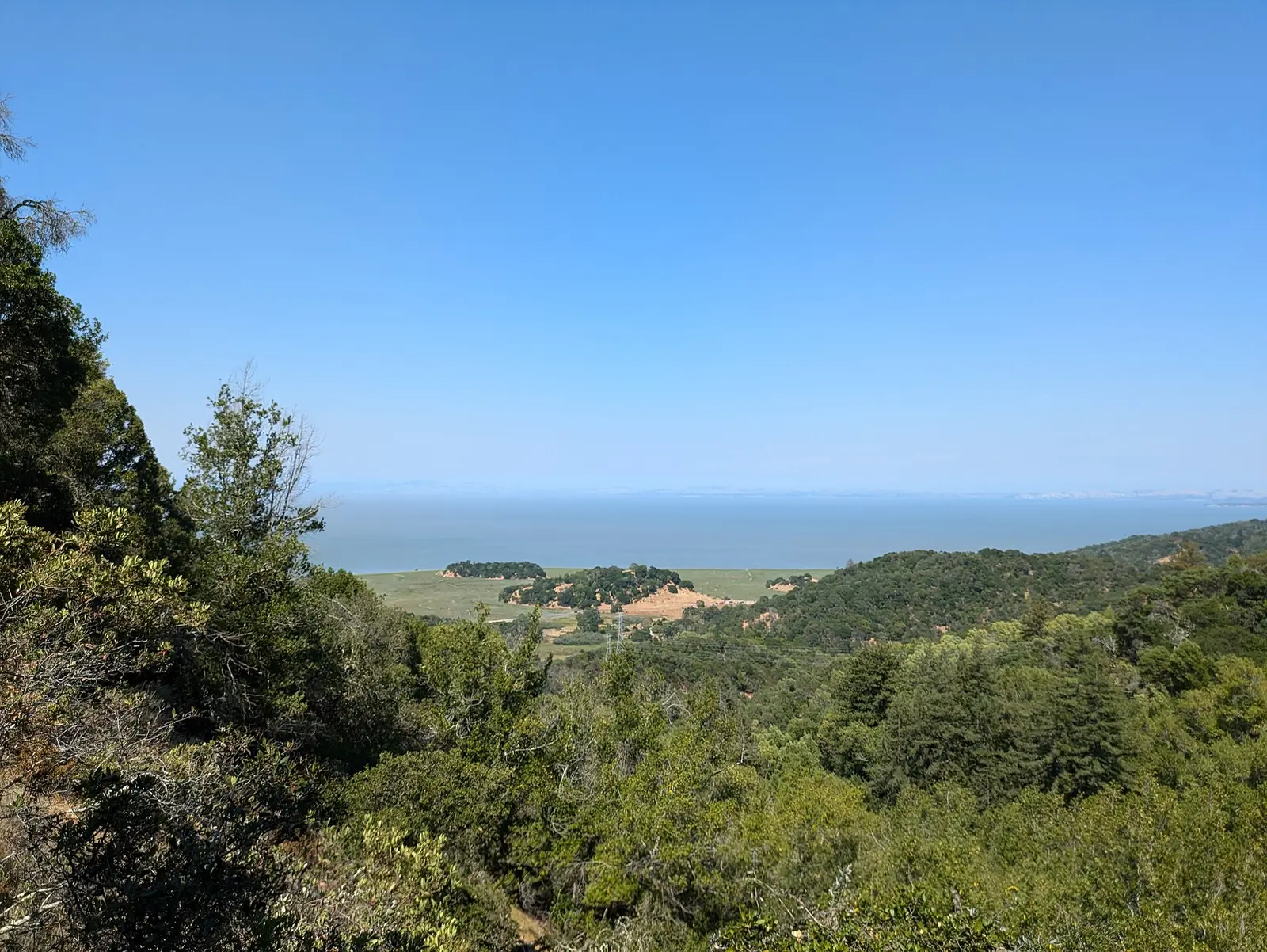 View from a trail in China Camp State Park