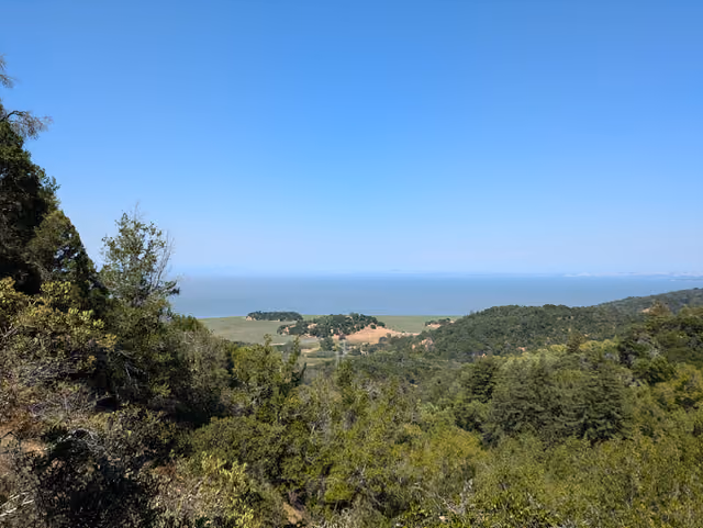 View from a trail in China Camp State Park