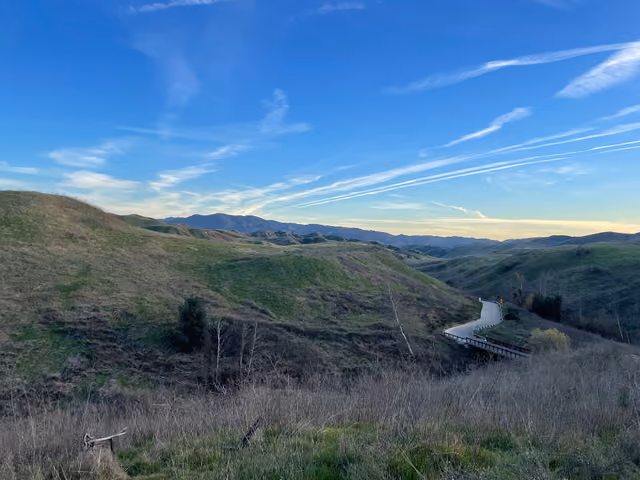 Bane Canyon in Chino Hills State Park in late January 2024