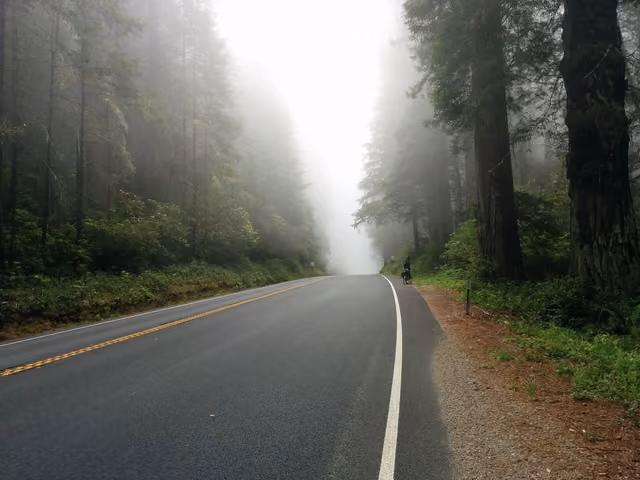 Del Norte Coast Redwoods State Park, Crescent City, United States