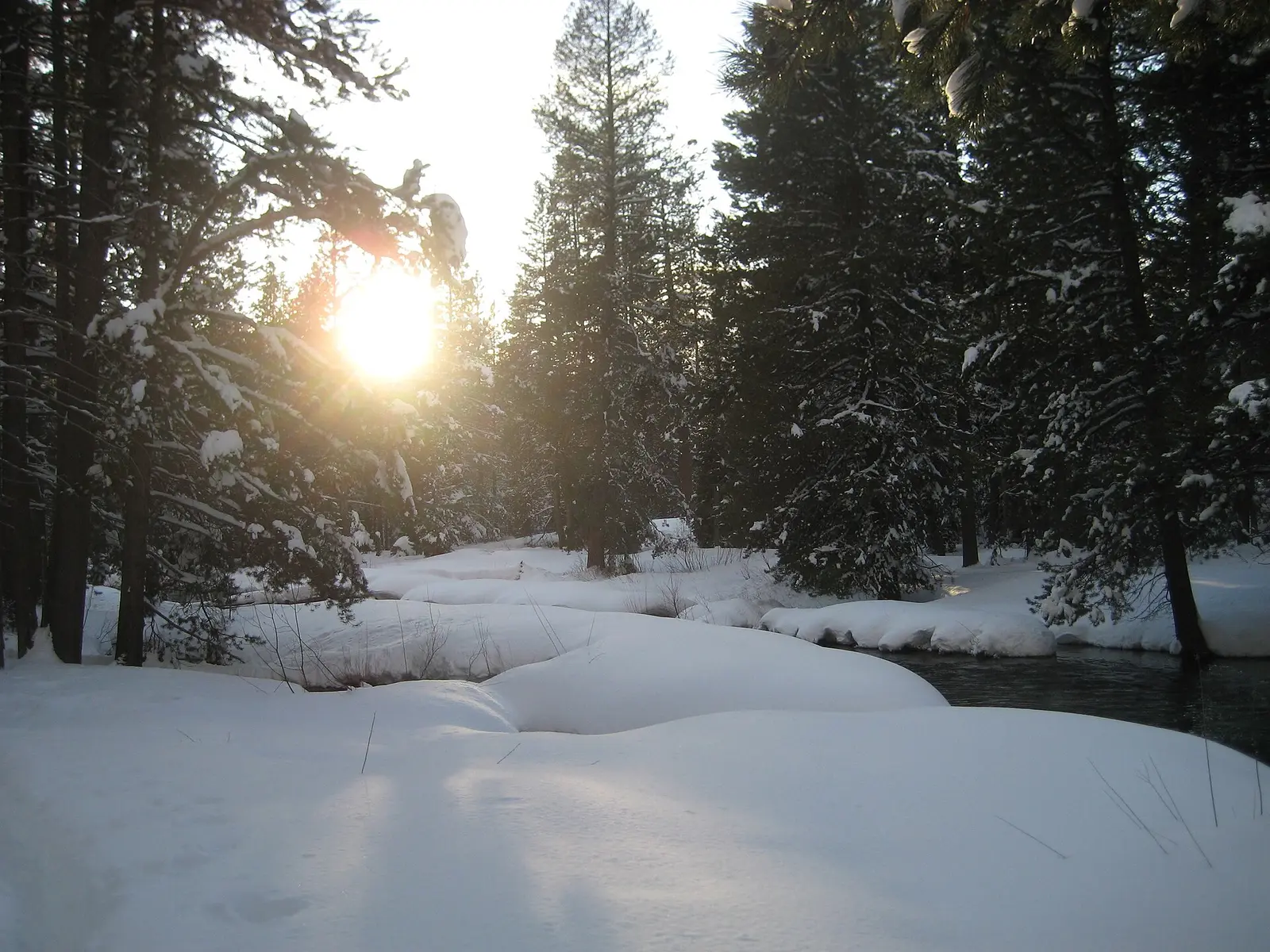 Hiking through Donner Memorial State Park