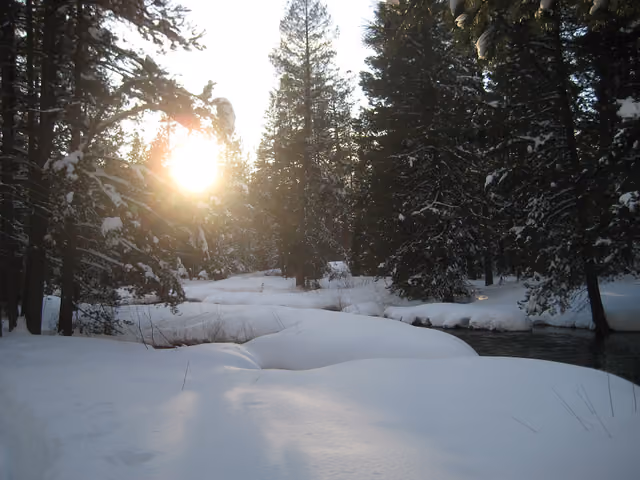 Hiking through Donner Memorial State Park