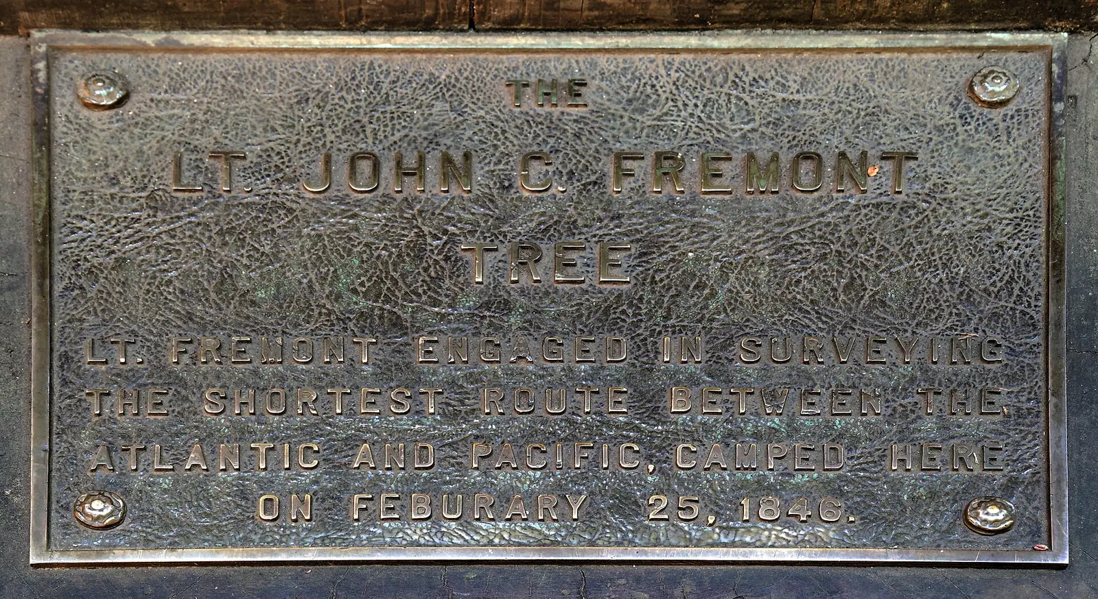 plaque in front of the tree inside of which Lt — Henry Cowell Redwoods State Park