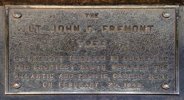 plaque in front of the tree inside of which Lt — Henry Cowell Redwoods State Park