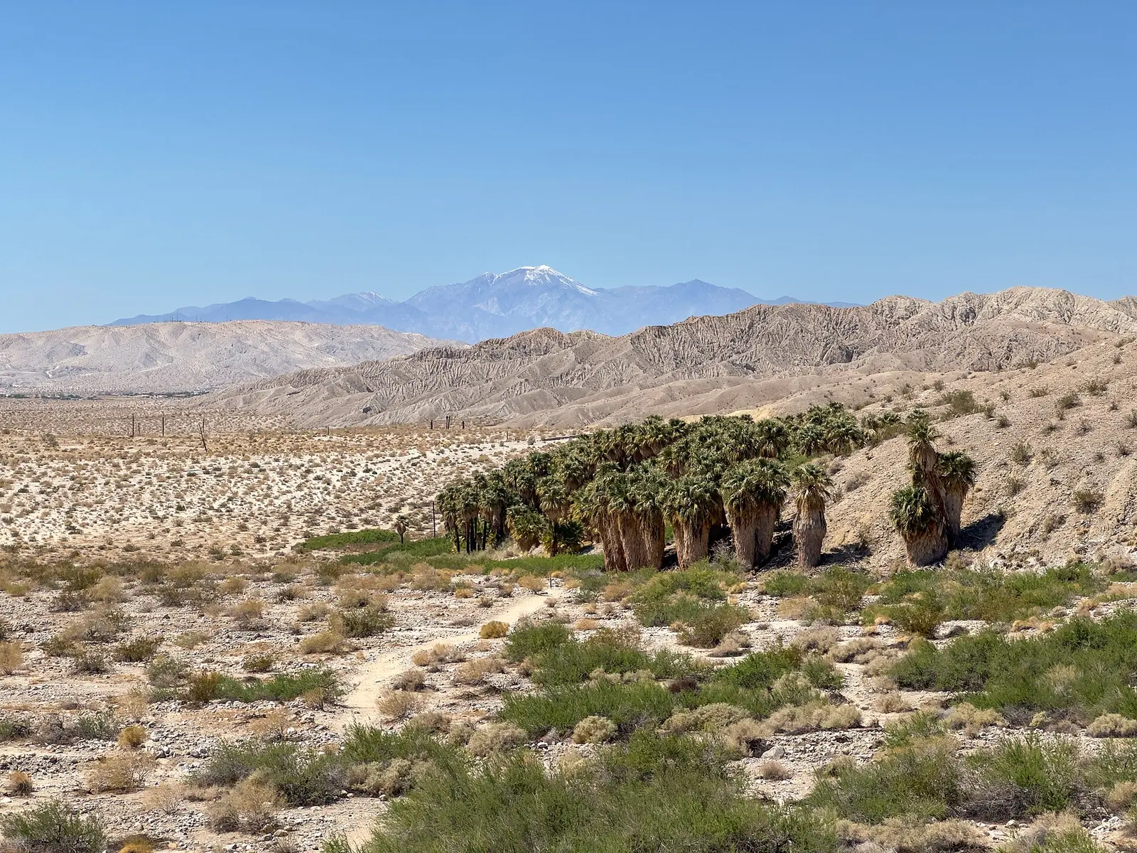 Indio Hills, California Fan Palm Oasis, and San Gorgonio Mountain