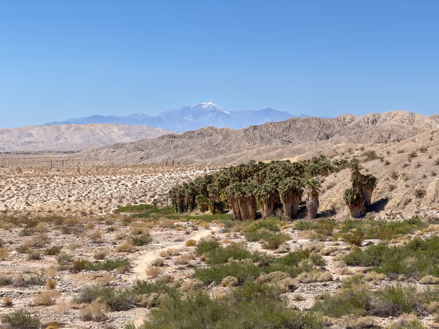 Indio Hills, California Fan Palm Oasis, and San Gorgonio Mountain