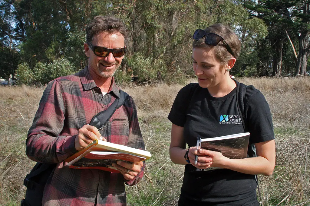 SANTA CRUZ, California (November 20, 2017) – Bill Henry, director of Groundswell Coastal Ecology, and Emma Pelton, conservation…