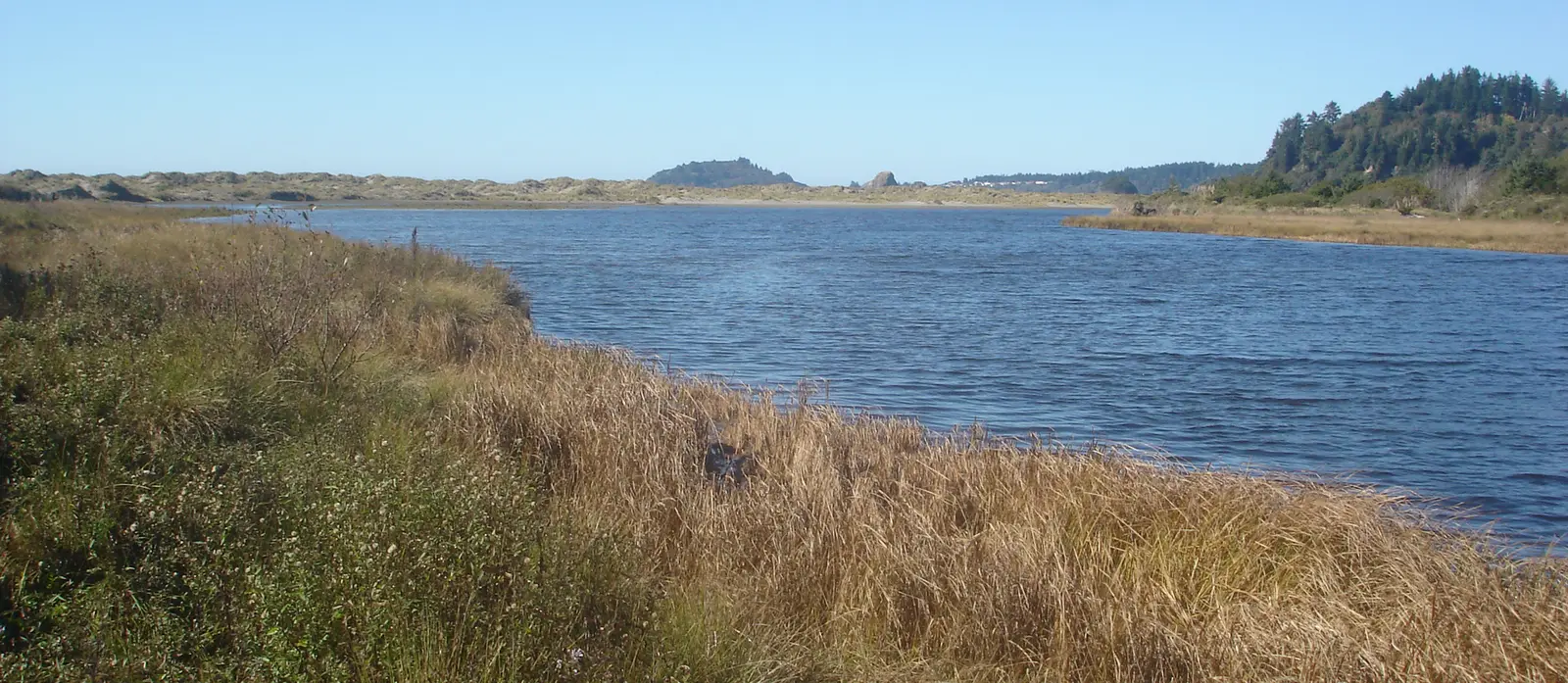 Little River estuary at the north end of Little River State Beach, Humboldt County, California, USA