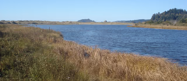 Little River estuary at the north end of Little River State Beach, Humboldt County, California, USA