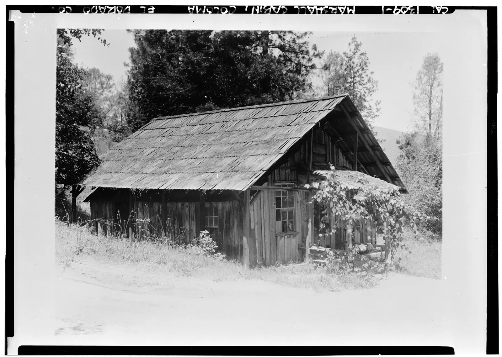 At Marshall Gold Discovery State Historic Park