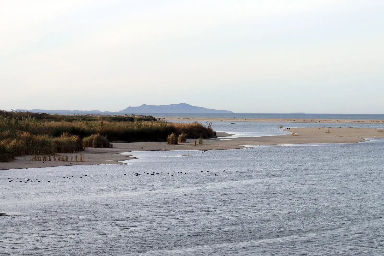 The Santa Clara River estuary at McGrath State Beach in Ventura, California