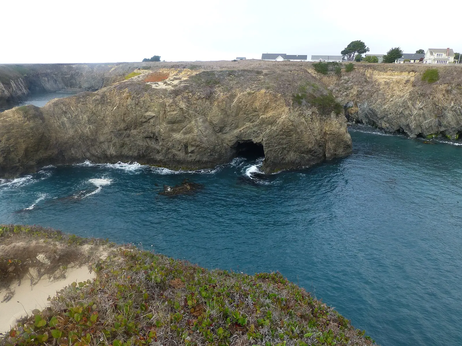 Mendocino Headlands State Park
