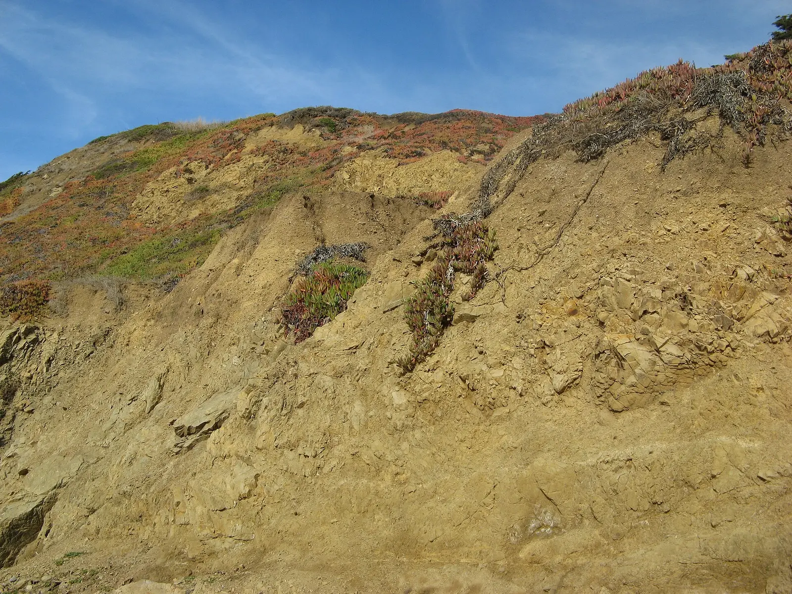 Pacifica State Beach