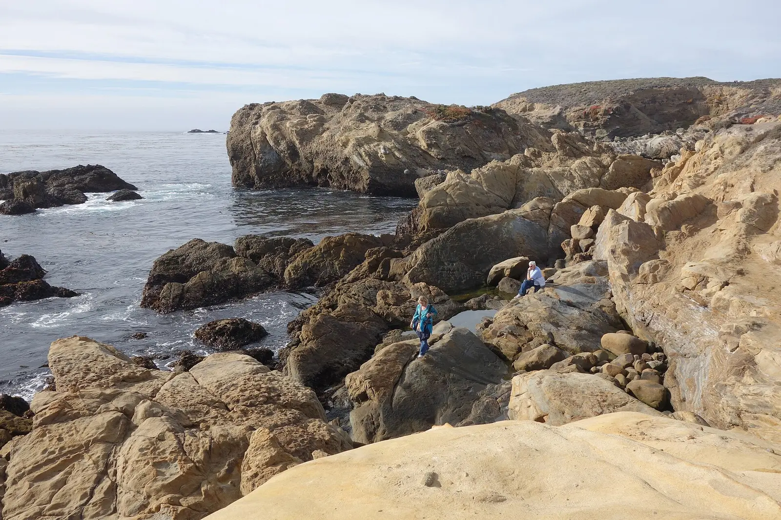 General view - Point Lobos State Reserve -
