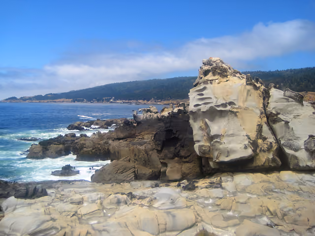 Sandstone and Tafoni formations in Salt Point State Park, Sonoma County California, ~40 minutes north of Jenner and Russian River Resort