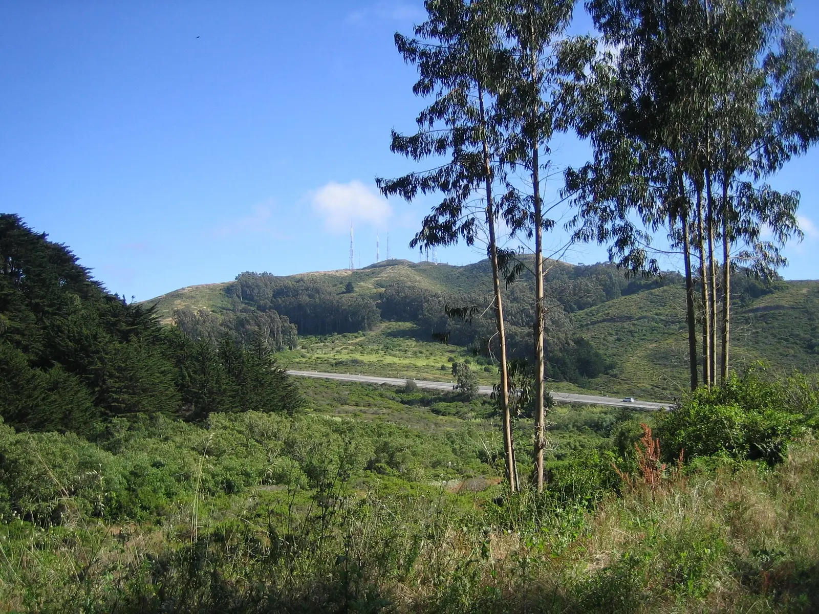 San Bruno Mountain California