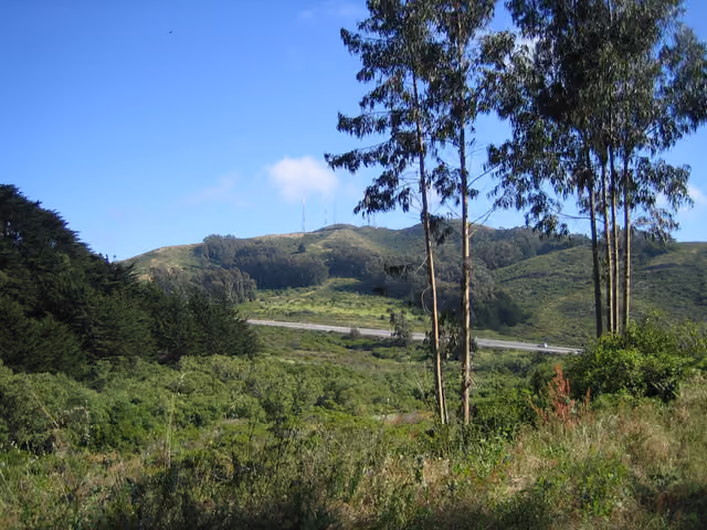 San Bruno Mountain California