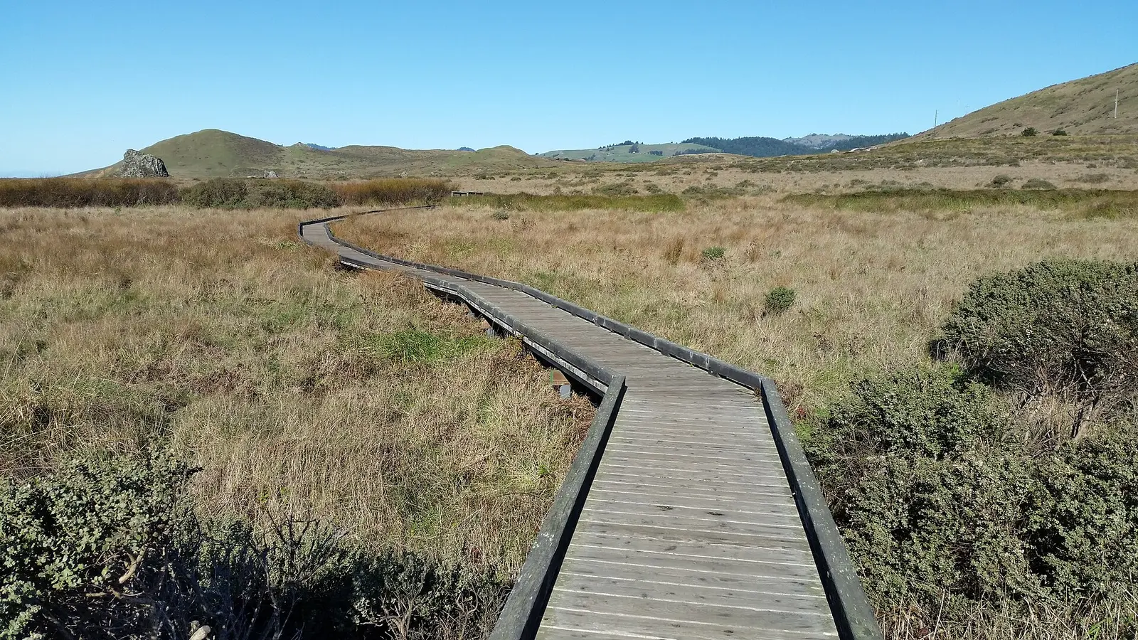 This view is taken looking north along the Kortum Trail through the coastal terrace of the Sonoma Coast State Park with California coast…
