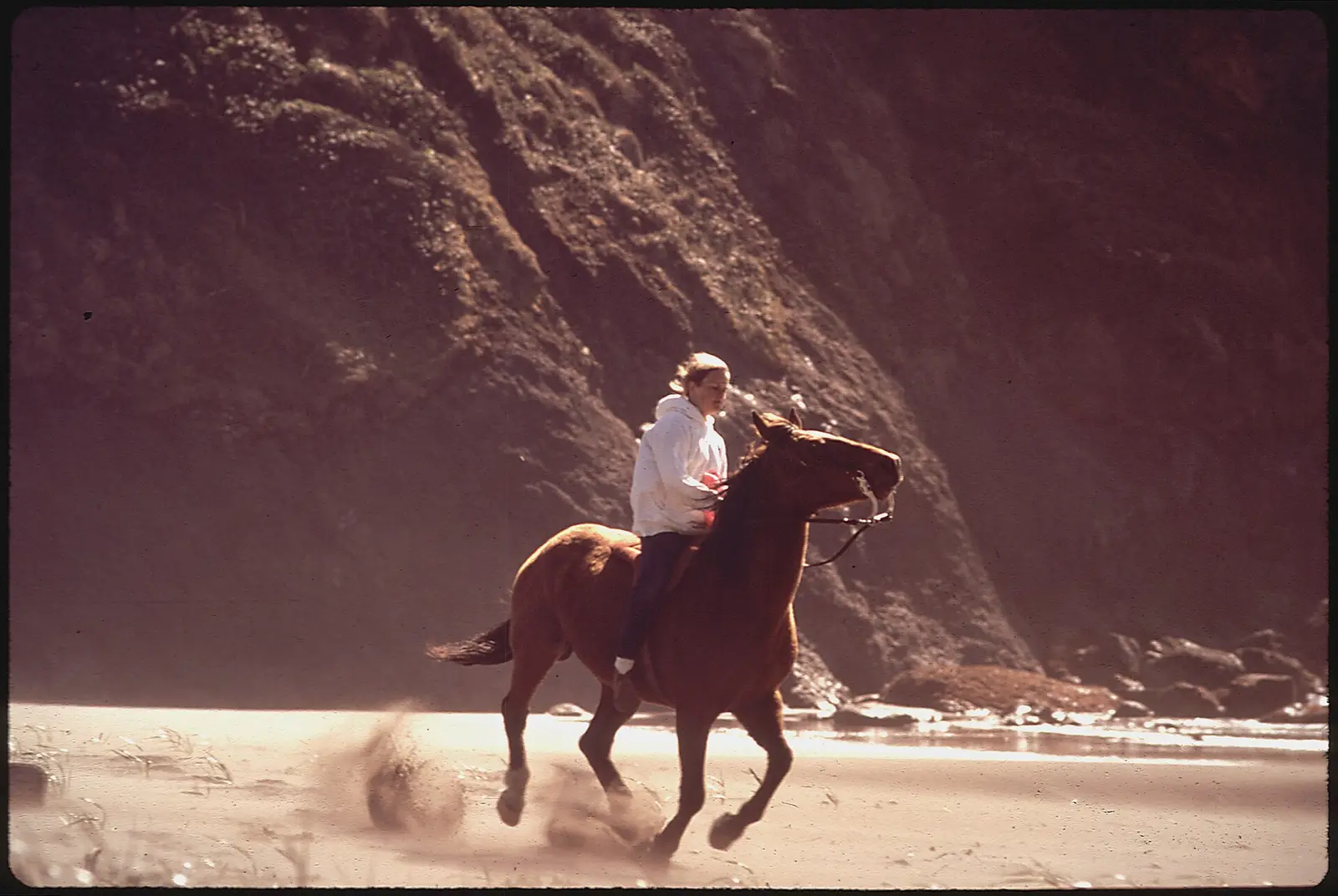 TRINIDAD BEACH - NARA -