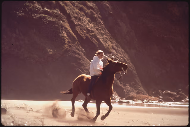 TRINIDAD BEACH - NARA -