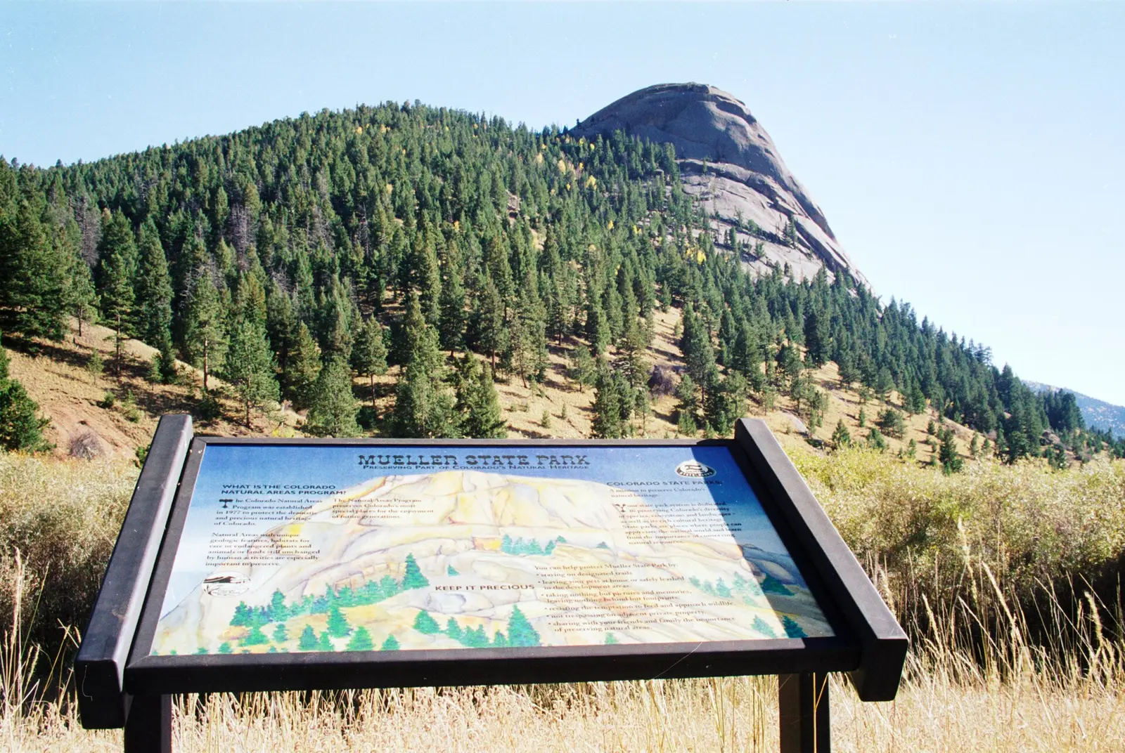 Dome Rock, Meuller State Park — Mueller State Park