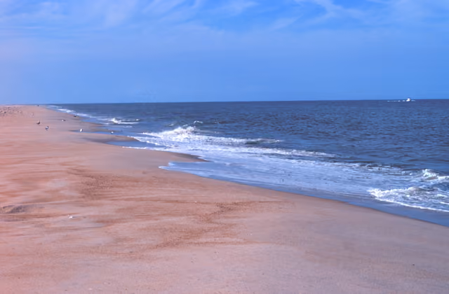 Looking north at Delaware Seashore State Park