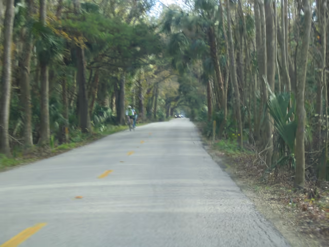 Walter Boardman Lane east in Bulow Creek State Park
