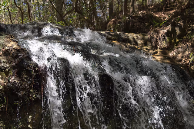 The waterfall, and namesake, of Falling Waters State Park in Florida