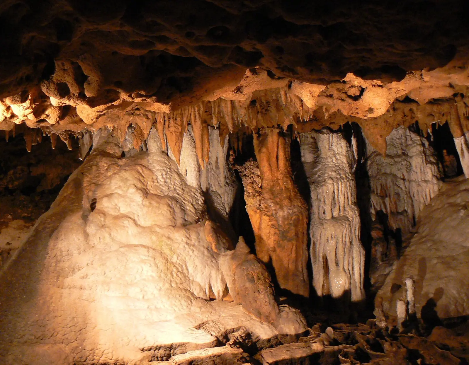 Formations at Florida Caverns State Park, Marianna FL