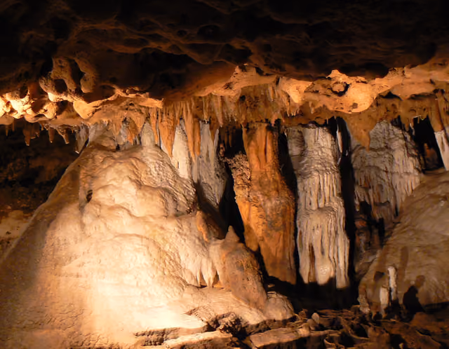 Formations at Florida Caverns State Park, Marianna FL