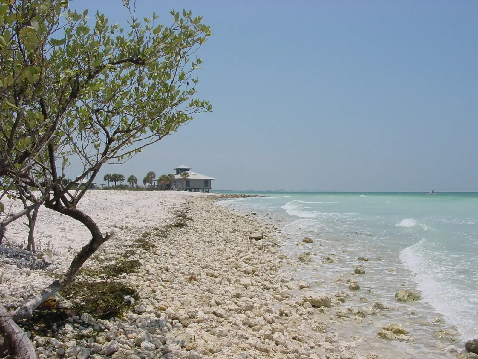 This photograph was taken at Honeymoon Island State Park, which is located in northwestern Pinellas County near Clearwater, FL
