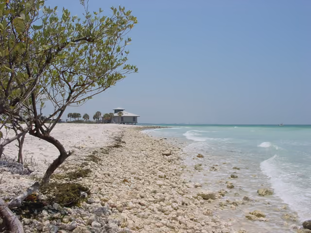 This photograph was taken at Honeymoon Island State Park, which is located in northwestern Pinellas County near Clearwater, FL