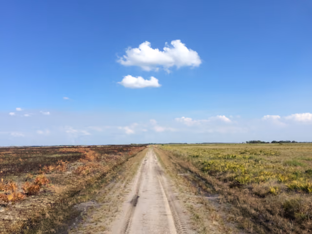In Kissimmee Prairie Preserve, prescribed burning is essential to improve and maintain habitat for one of North America's most…