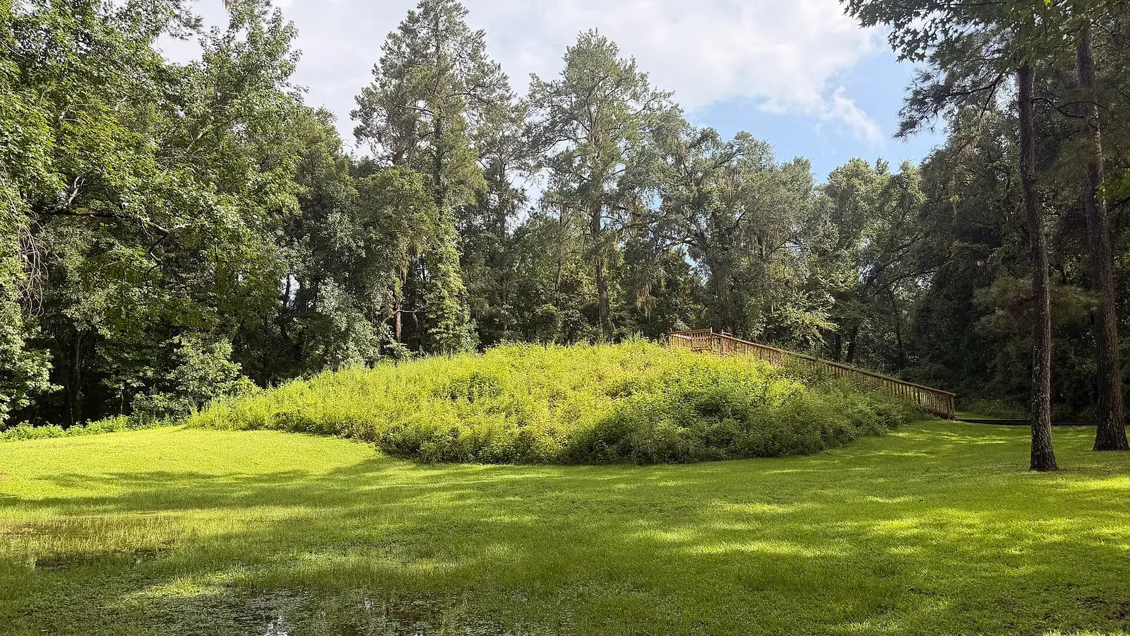 Mound 4 at Lake Jackson Mounds Archaeological State Park