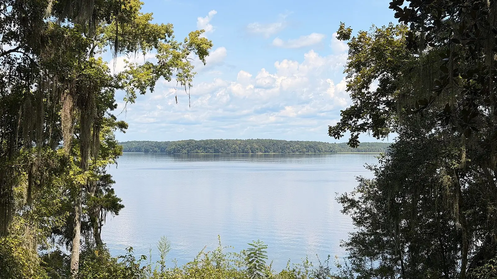 A view of Lake Talquin from the park