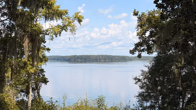 A view of Lake Talquin from the park